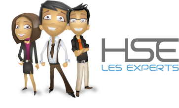 Logo Experts HSE